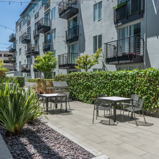Oakland Luxury Apartments Domain Oakland Amenities