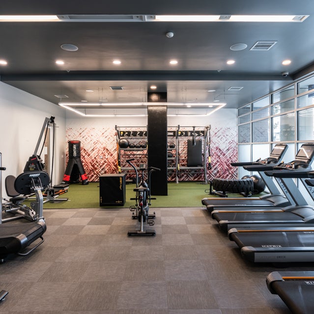 Domain Oakland Apartments - fitness center with cardio equipment, weight lifting machines, and free weights
