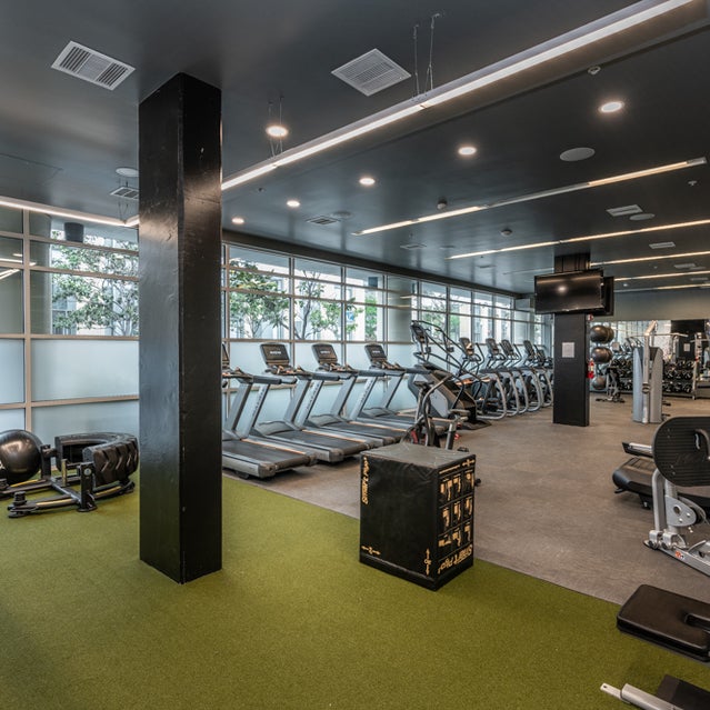 Domain Oakland Apartments - fitness center with free weights