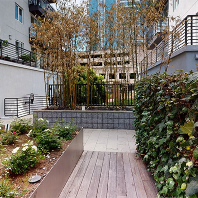 Domain Oakland Apartments - virtual tour of outdoor courtyard